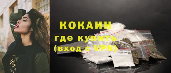 дживик Абинск