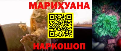 МДПВ Гатчина