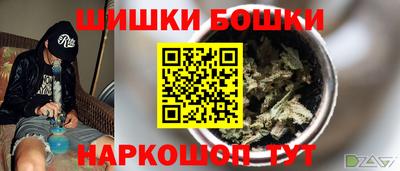МДПВ Гатчина