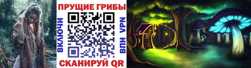 купить наркоту  Псков  Псилоцибиновые грибы Magic Shrooms 