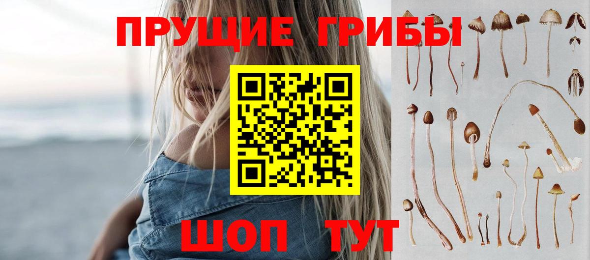 Псилоцибиновые грибы MAGIC MUSHROOMS  Вход с VPN  Псилоцибиновые грибы GOLDEN TEACHER  Псков 